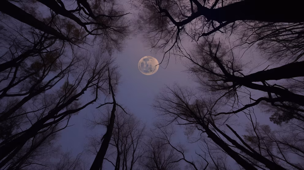 Mondkalender für 2025: Mondphasen dieser Woche