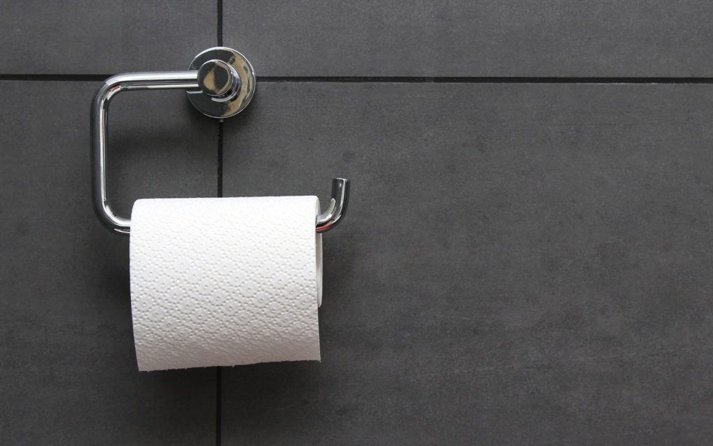 Britischen Haushalten wird empfohlen, Toilettenpapierrollen im Oktober in den Garten zu bringen