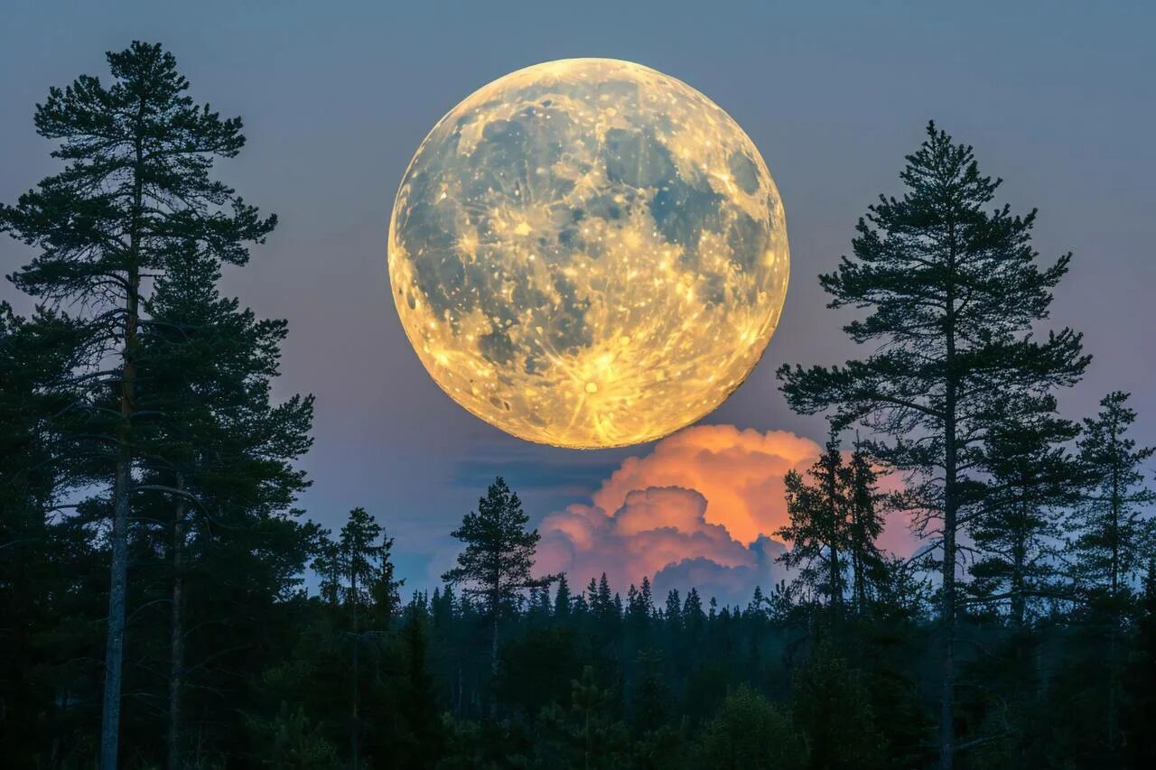 Vollmond im November 2025. Wann wird er sein und was wird er uns bringen?