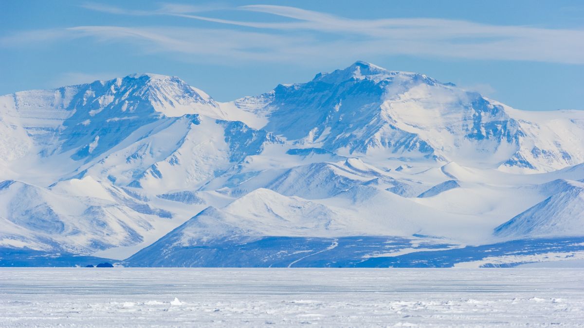 Eine beispiellose Entdeckung: Bernstein bestätigt, dass es vor 90 Millionen Jahren in der Antarktis Wälder gab