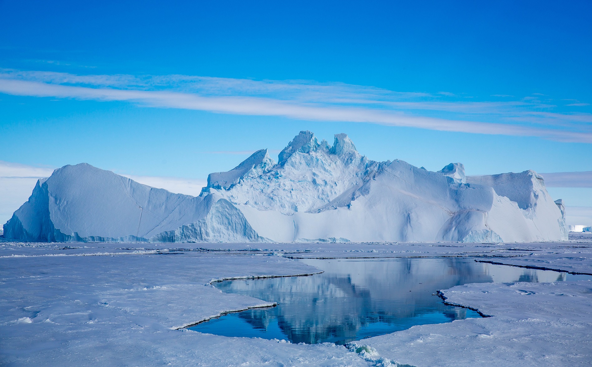 Eine beispiellose Entdeckung: Bernstein bestätigt, dass es vor 90 Millionen Jahren in der Antarktis Wälder gab