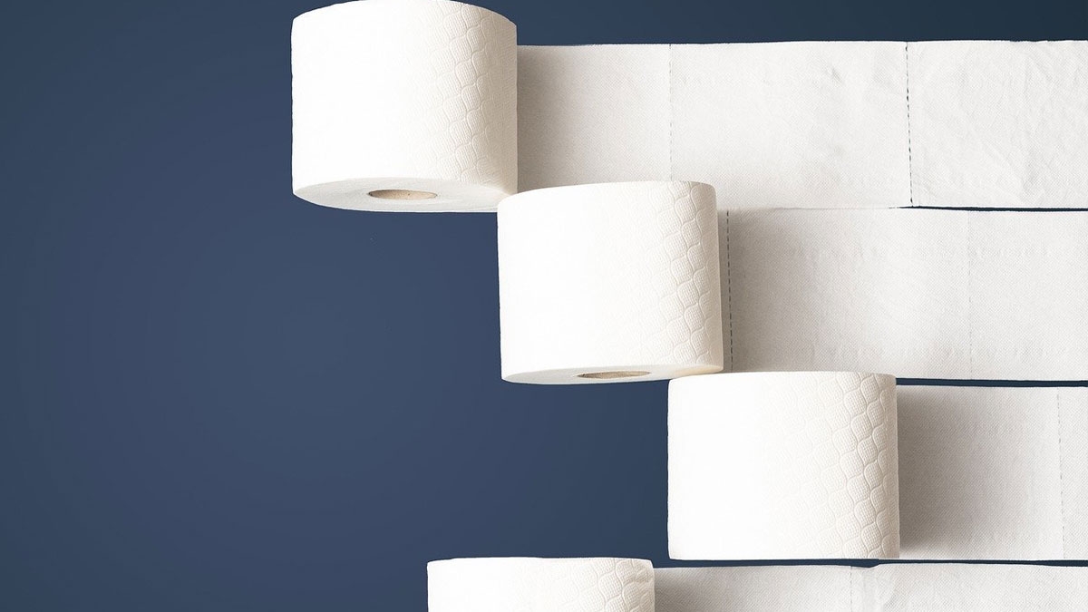 Britischen Haushalten wird empfohlen, Toilettenpapierrollen im Oktober in den Garten zu bringen